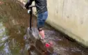 kuickwheel 36V 13Ah trottinette.webp